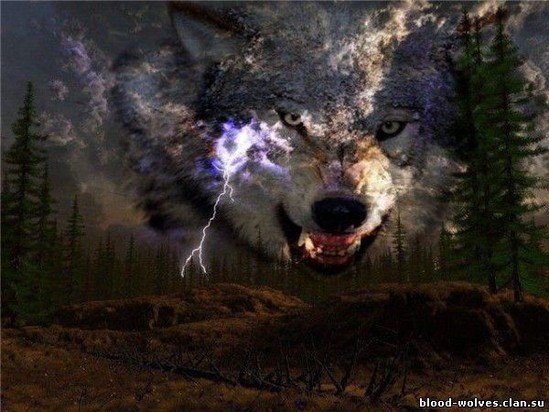 Татьяна Савицкая | Санкт-Петербург