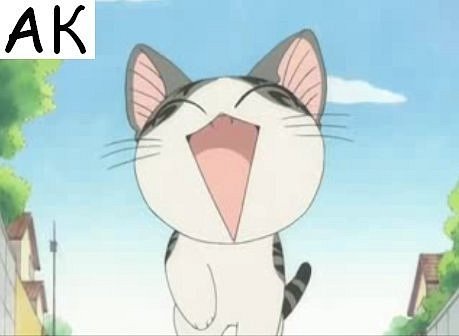 №44, Павел Токарев, Санкт-Петербург №44, Павел Токарев, Санкт-Петербург