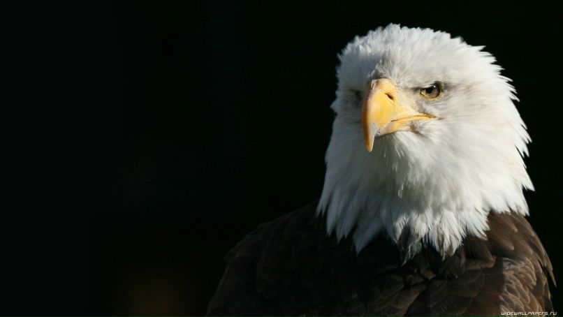 Max Lozhkin ^A/)/)igo^ | Ижевск