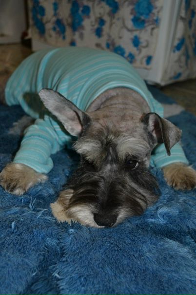 №101, Алина Рубина, 40 лет, Харьков №101, Алина Рубина, 40 лет, Харьков