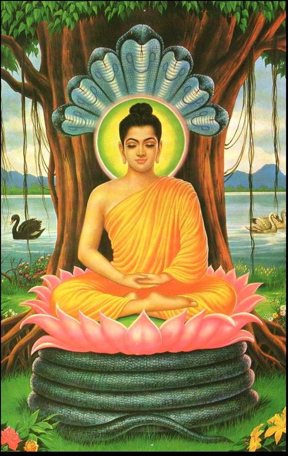 Станислав Погорелкин | Ростов-на-Дону