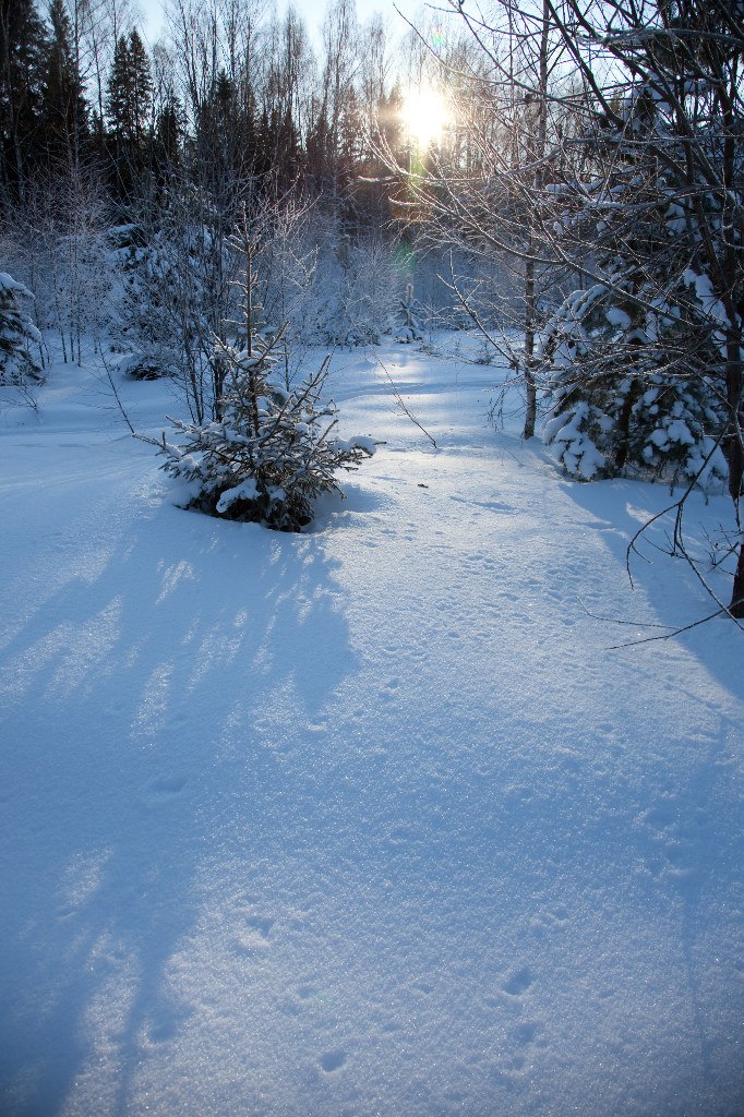 Надежда Бакулева | Нижний Новгород