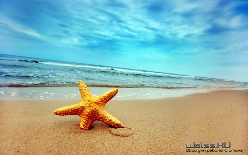 Nikita Steklov | Санкт-Петербург