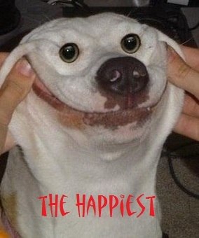 Игорь Ломакин Анатольевич | México