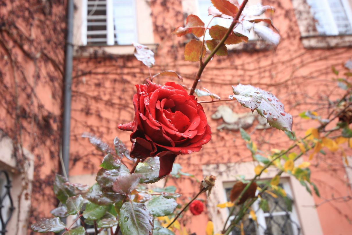 Вадим Гололобов | Москва