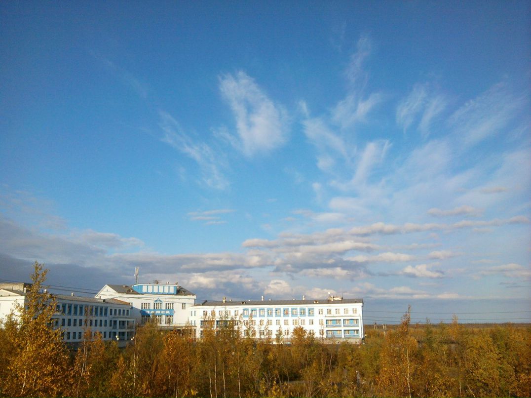 Наталья Киселёва | Томск