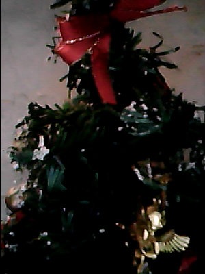 №53, Варя Белова, Санкт-Петербург №53, Варя Белова, Санкт-Петербург