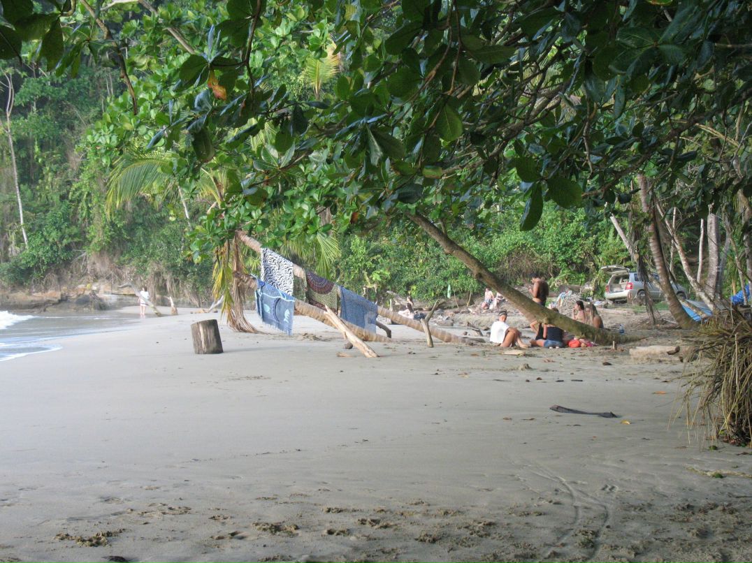 Евгений Диаченко 