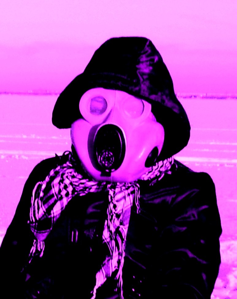 Таня Элвин *упрямое непарнокопытное* | Барнаул