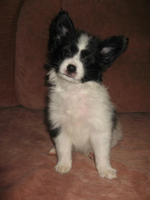 Маша Берсенева | Москва