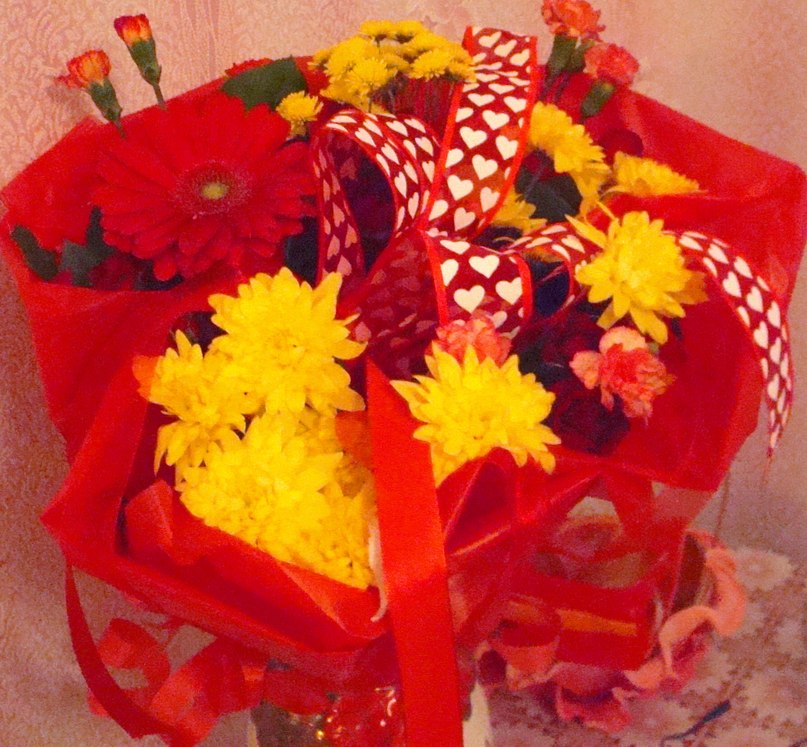 Вера Жидкова | Вологда