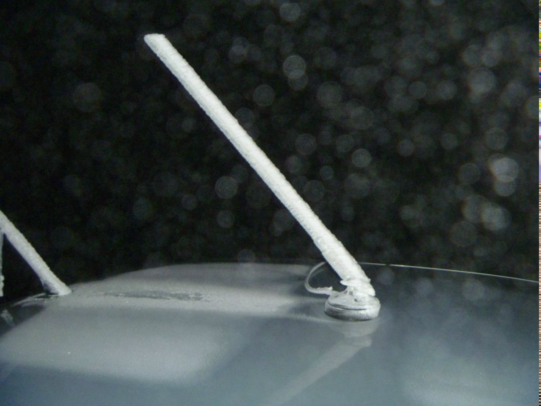 Вячеслав Шарандин | Саранск