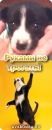 Фотография Маслий Любови