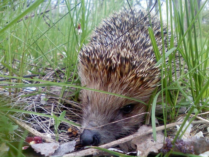 Владимир Пушкин | Потоки