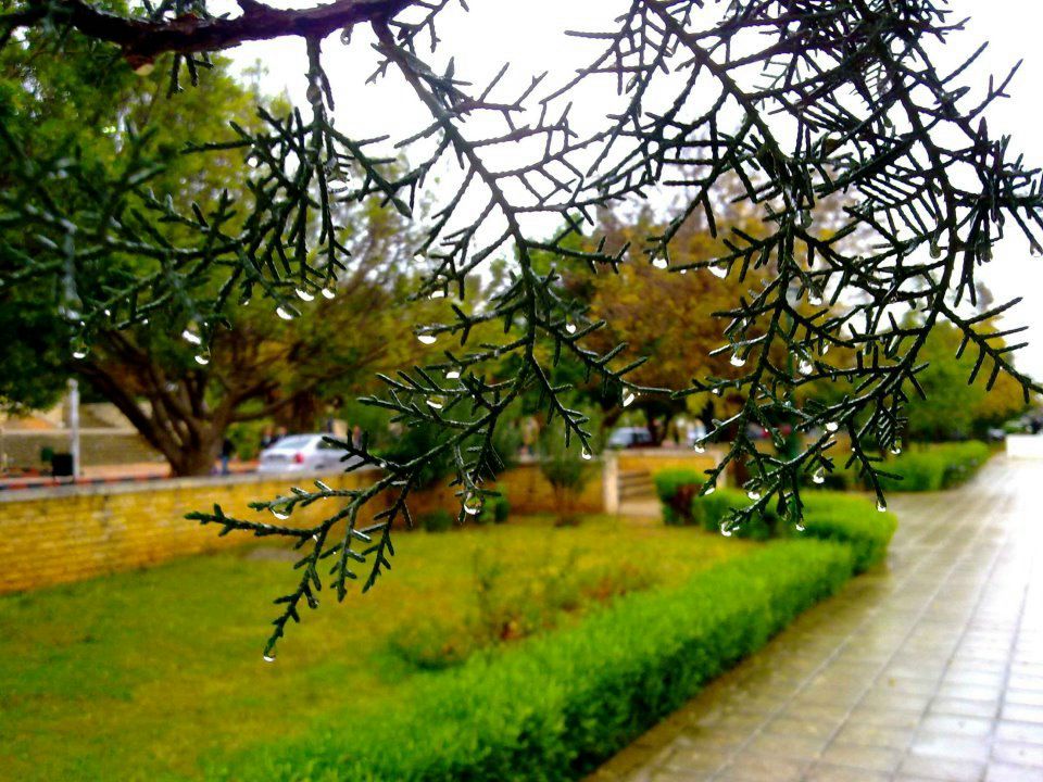 Мардук Мардук | Одесса