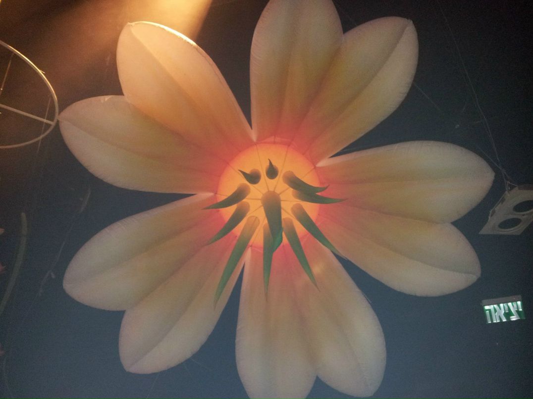 Влад Лейбензон | Хайфа