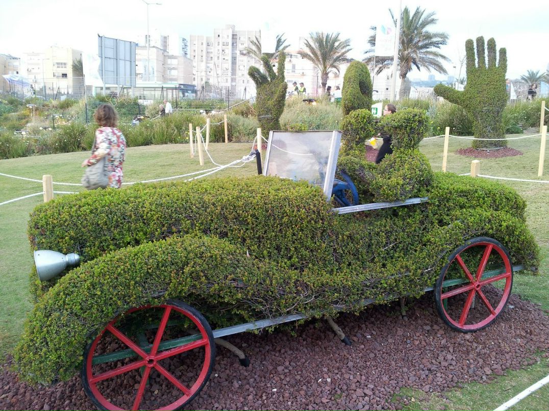 Влад Лейбензон | Хайфа