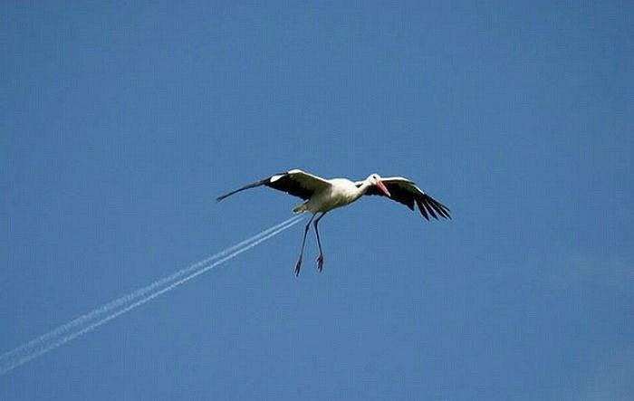 Максим Некрасов | Иваново