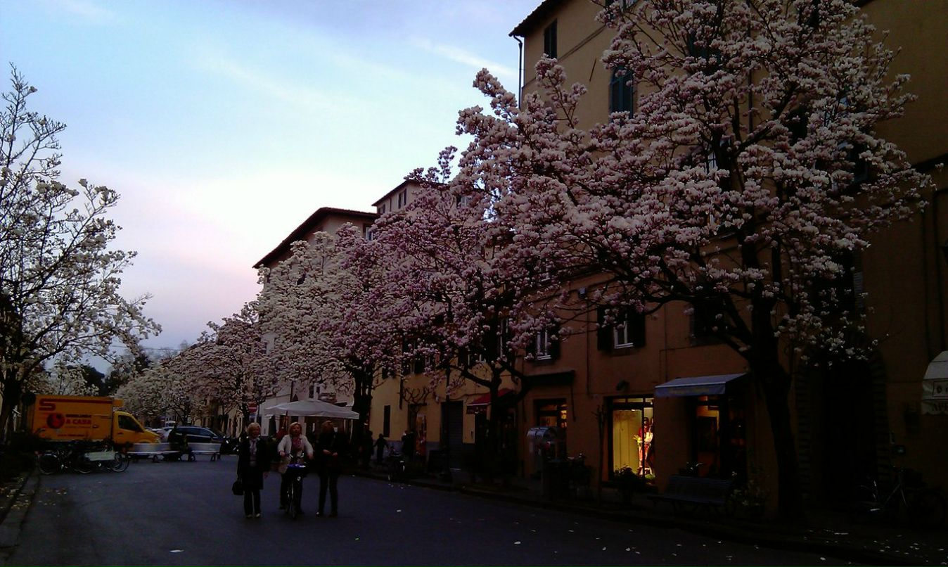 Вадим Конев | Ростов-на-Дону