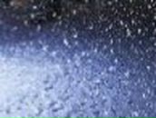 Руслан Рыжков | Вологда