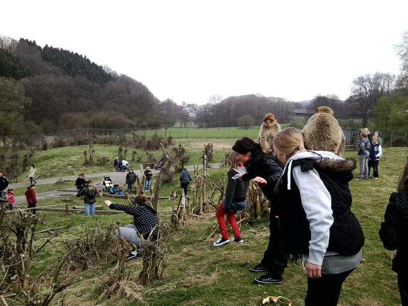 Марк Филевский | Köln