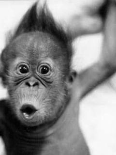 Владимир Завьялов | Москва