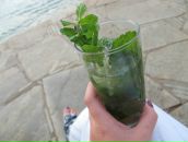 №14 Маланья Котлер 29.09.1987: профиль, фото, статус - ВКонтакте