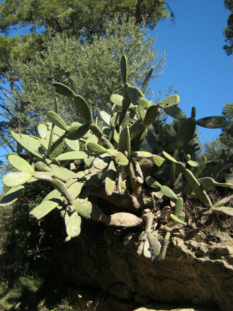 Евгений Козырин | Екатеринбург