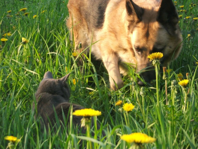Марина Иванова | Москва