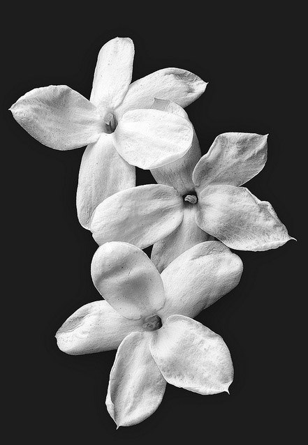 Арина Фролова | Москва