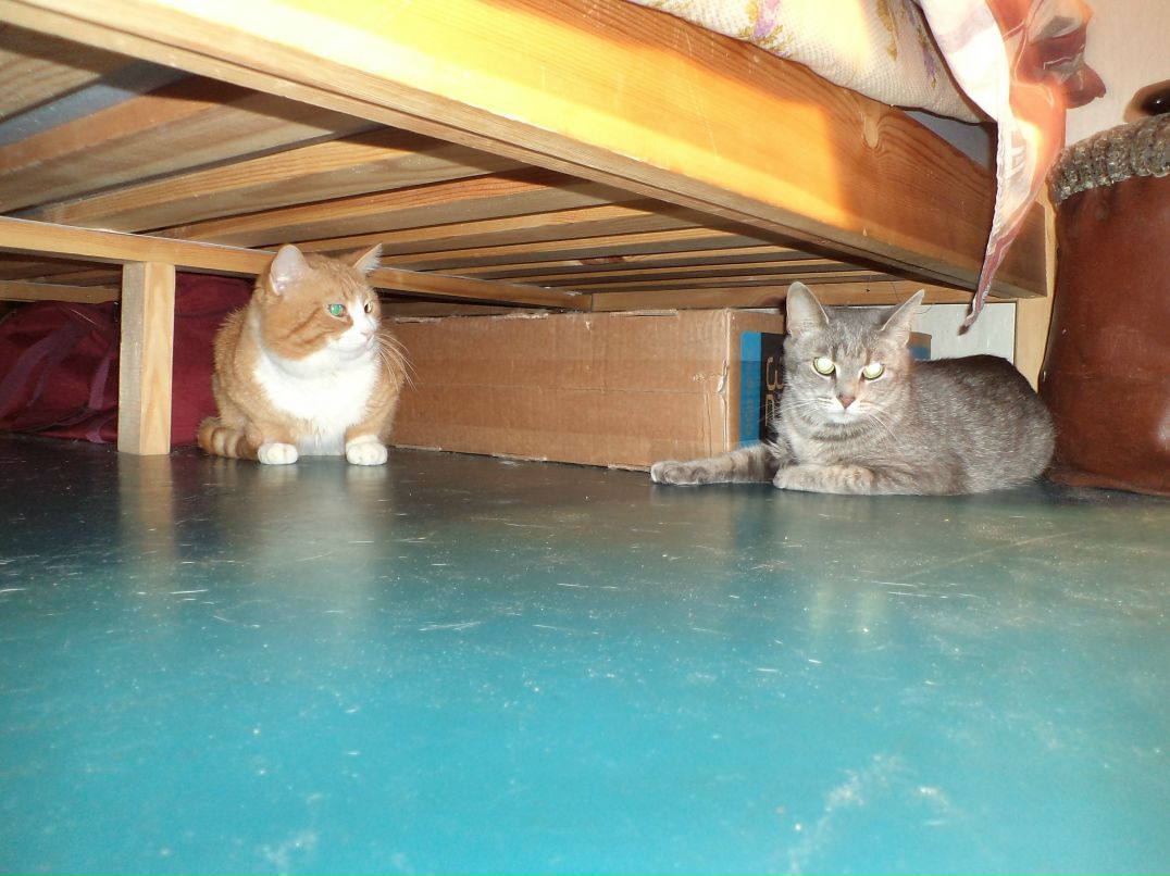 Михаил Солонуха | Донецк