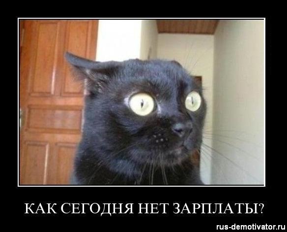 Ирина Вильховецкая | Луганск