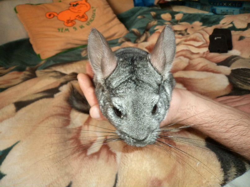 Ирина Сергеева | Пушкино