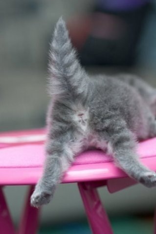 №79, Екатерина Калайда, Чернигов №79, Екатерина Калайда, Чернигов