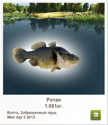 Игорь Симоненко | Корюковка