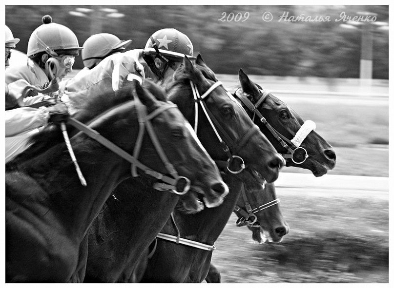 Daria Malinnikova | Москва