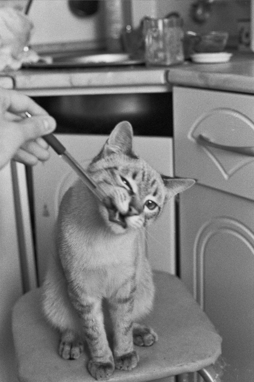 Саттар Имамов | 