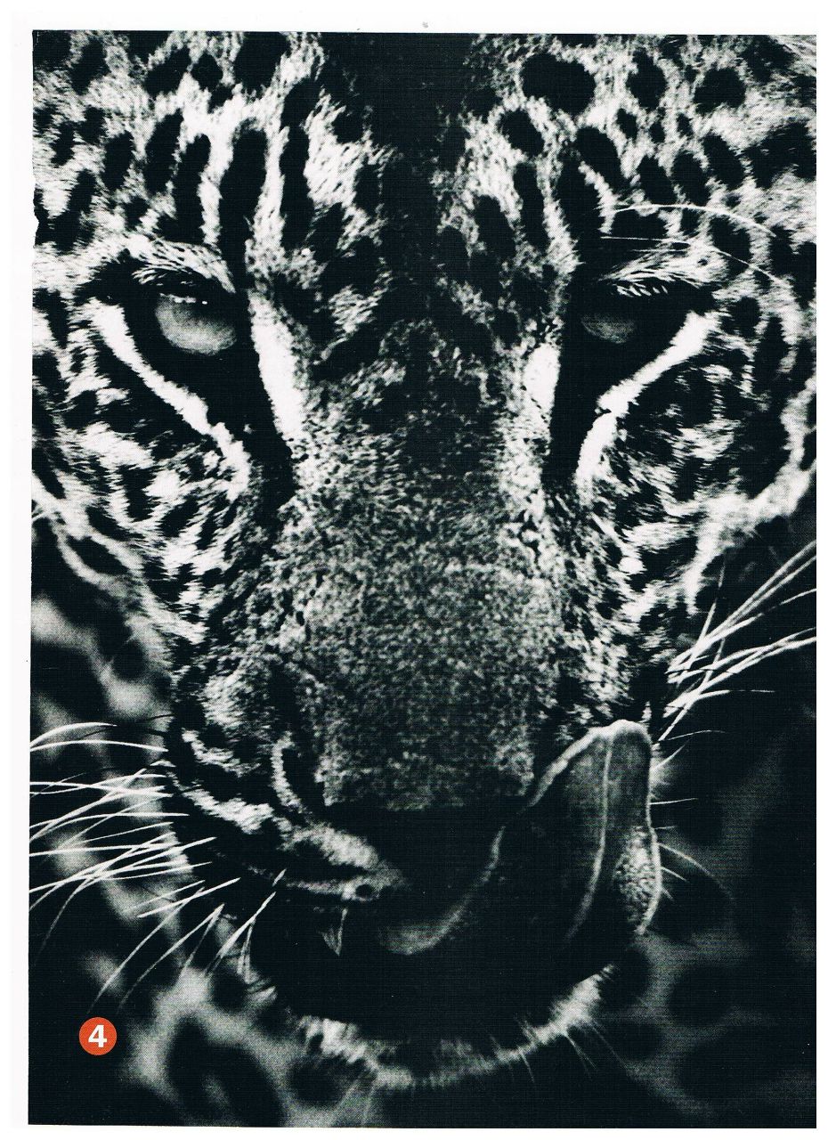 Daria Litovchenko | Санкт-Петербург