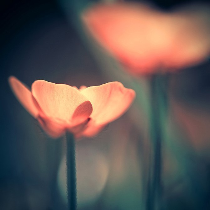 Наталья Кожевникова | Москва