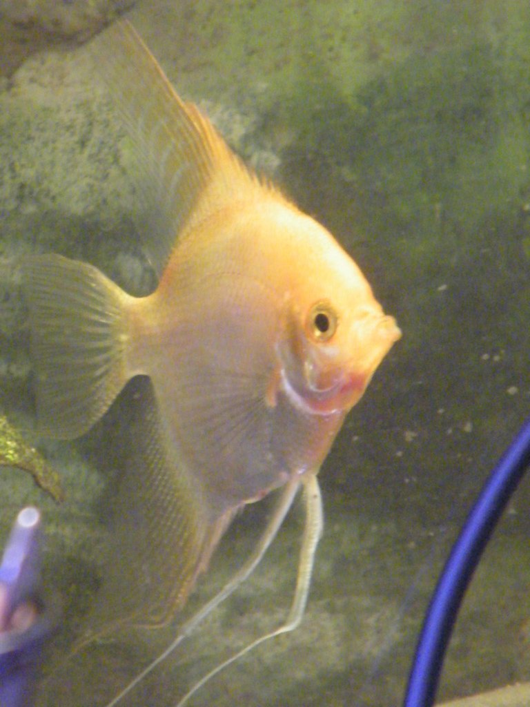 Евгений Илясов Александрович | Волгоград