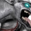 Аватар: Shaman Shaman