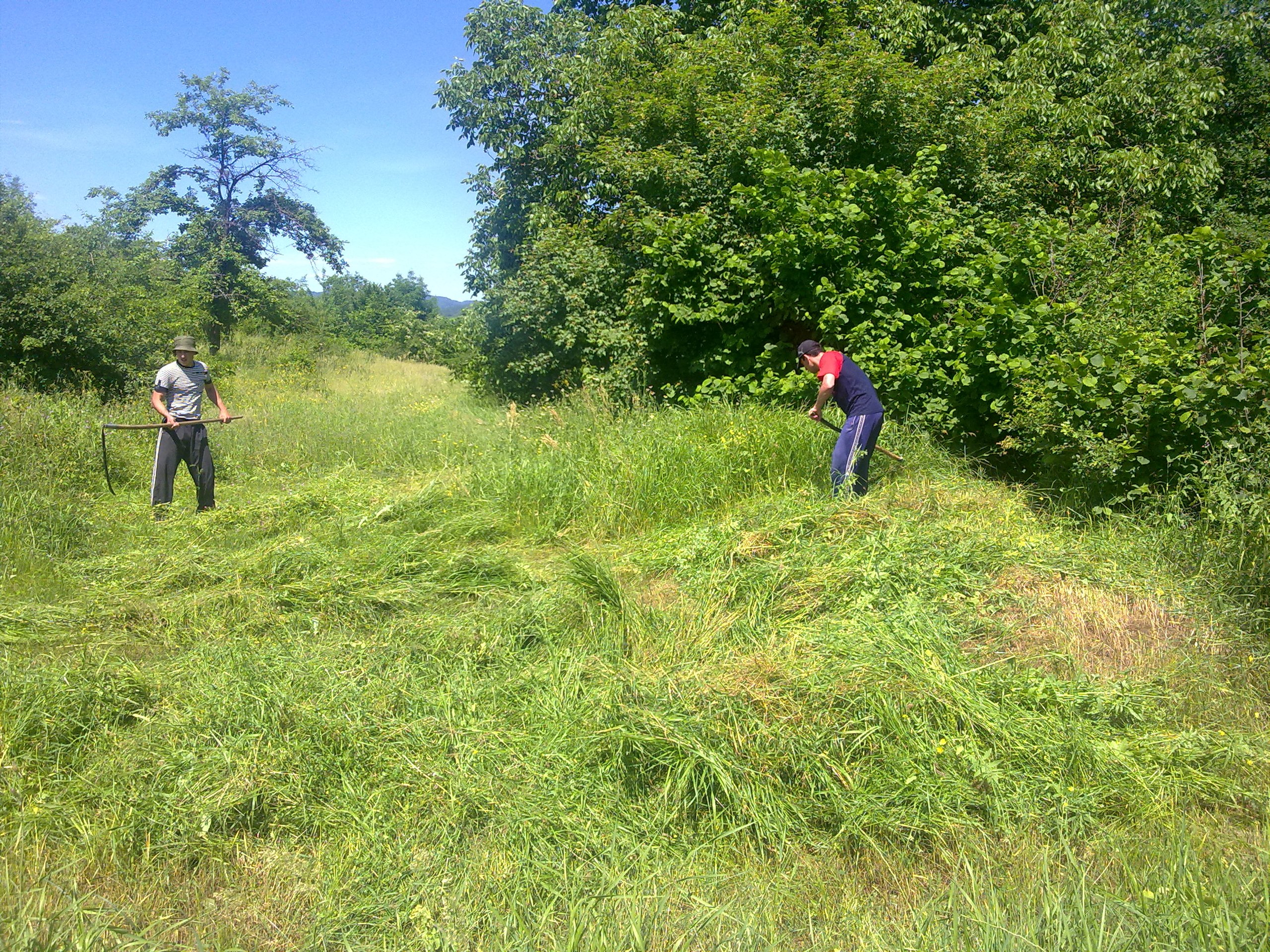 Фото профиля