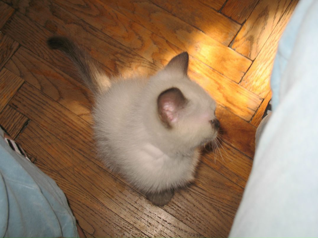 Людмила Алексеева | Санкт-Петербург