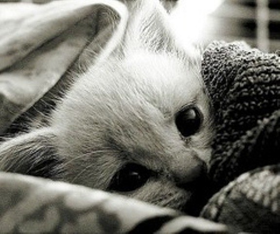 Елена Гордон | Харьков