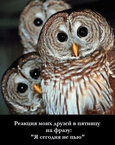 Александр Еншин | Иркутск