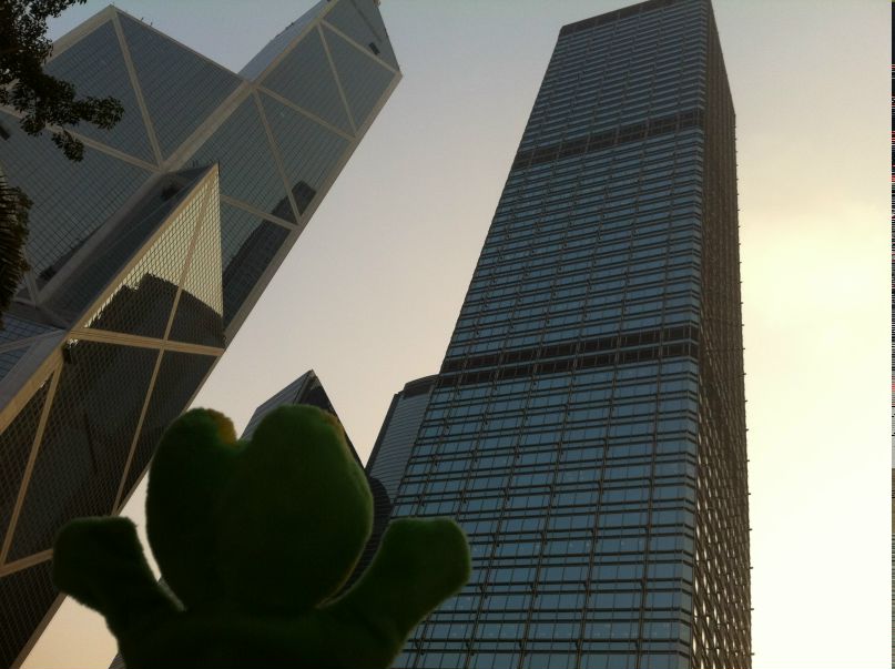 Лягушка Путешественник | 