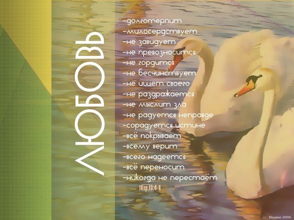 Елизавета Видрашко | Кишинев