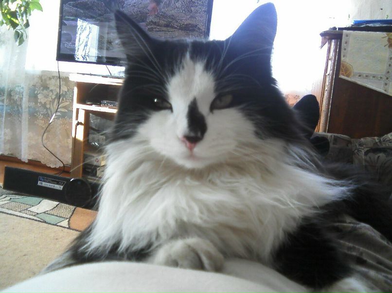 Настя Михайлова | Казань