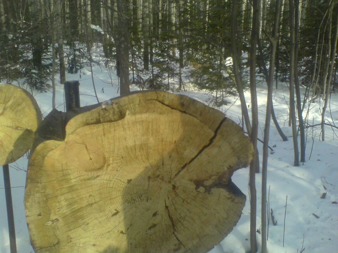 Владислав Шентенков | Екатеринбург