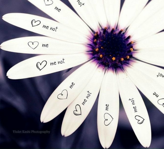 №39, Юличка Риккер, Санкт-Петербург №39, Юличка Риккер, Санкт-Петербург